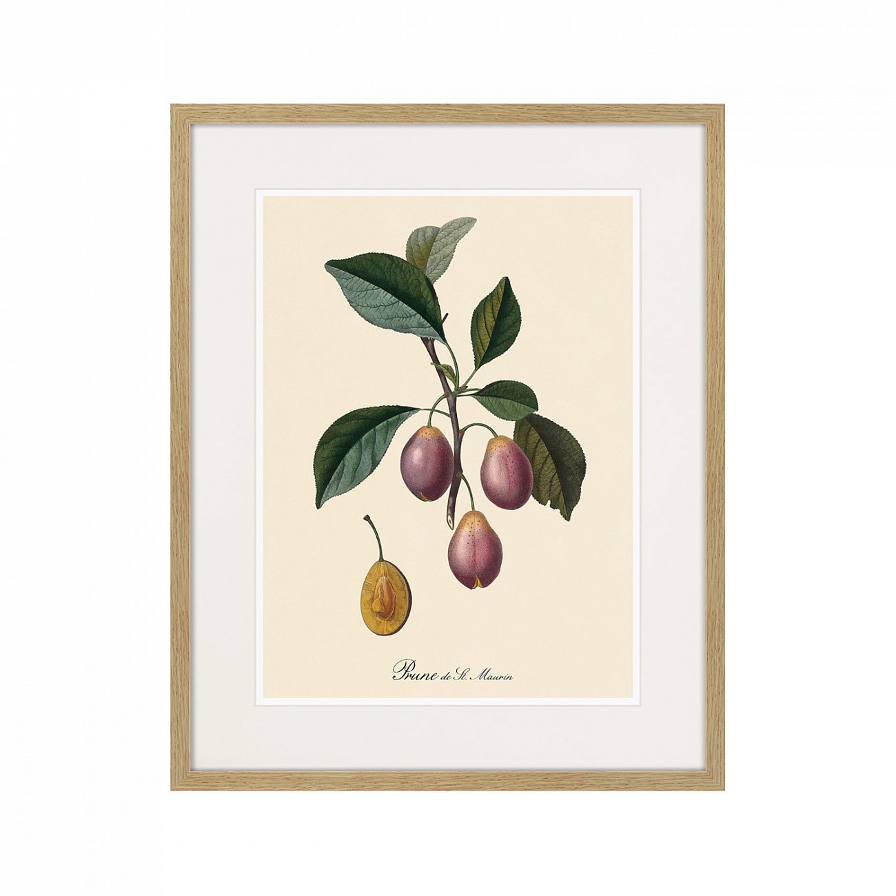 Картина в раме 52х42 см Juicy fruit lithography №9, 1870г. КАРТИНЫ В КВАРТИРУ  264442 Зеленый;фиолетовый;разноцветный  - Вид №1