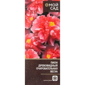 Пион древовидный Очаровательная Весна 83761602 STLM-2159604
