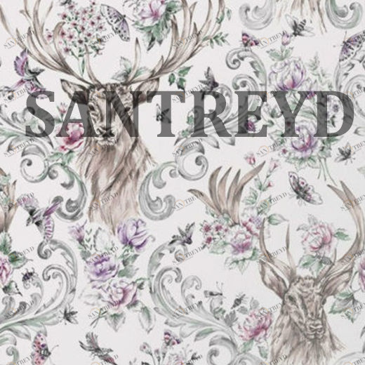 104551 Обои Graham&Brown Curiosity