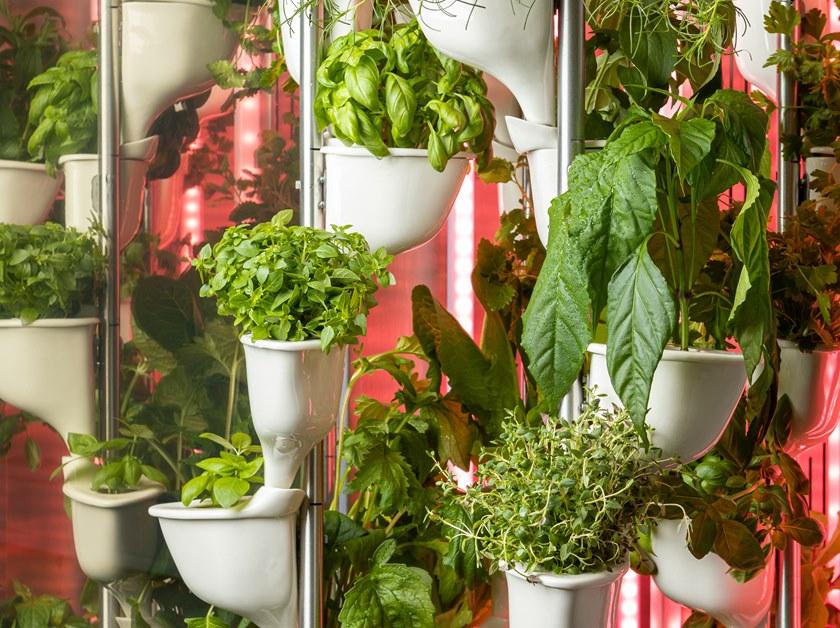 Natufia Отдельно стоящий кухонный модуль для гидропоники sun-id-1432001 - Вид №9