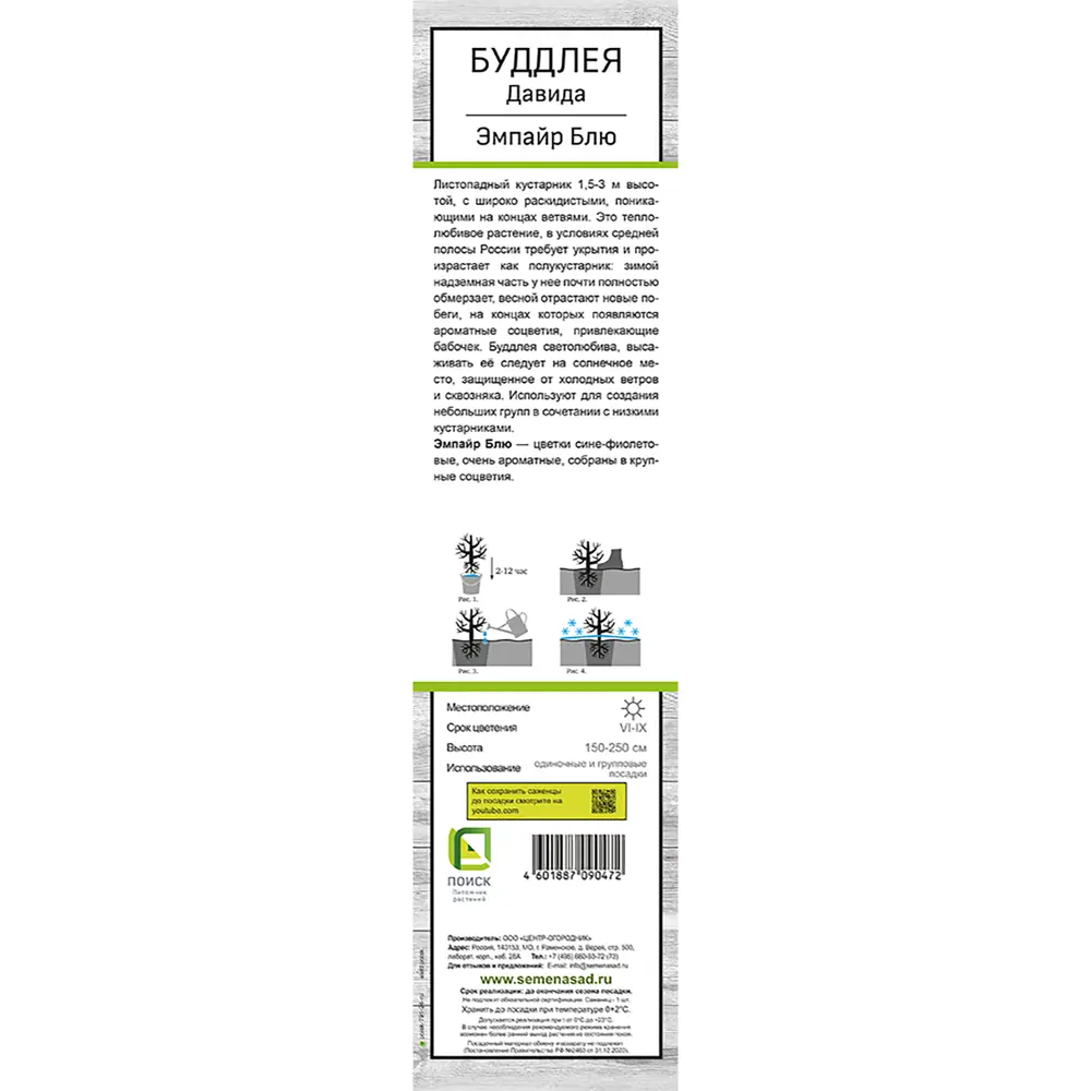 Буддлея Давида Эмпайр Блю h39 см 89408278 STLM-2160706 Santreyd  - Вид №1
