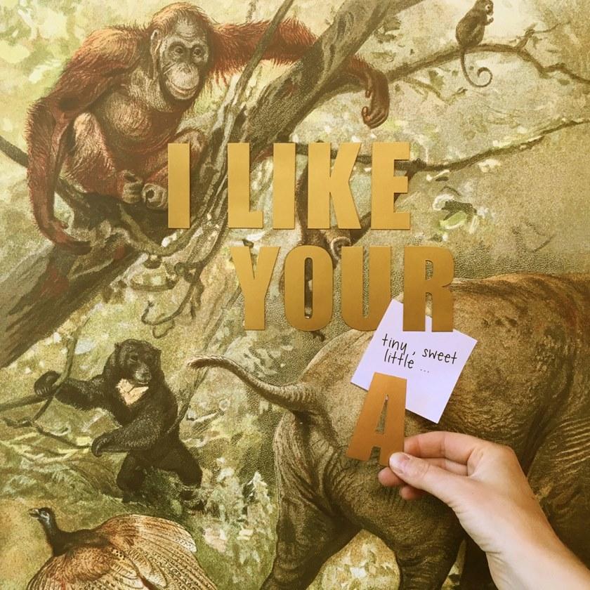 Groovy Magnets Магнитный плакат Animal Pos-ff - Вид №4