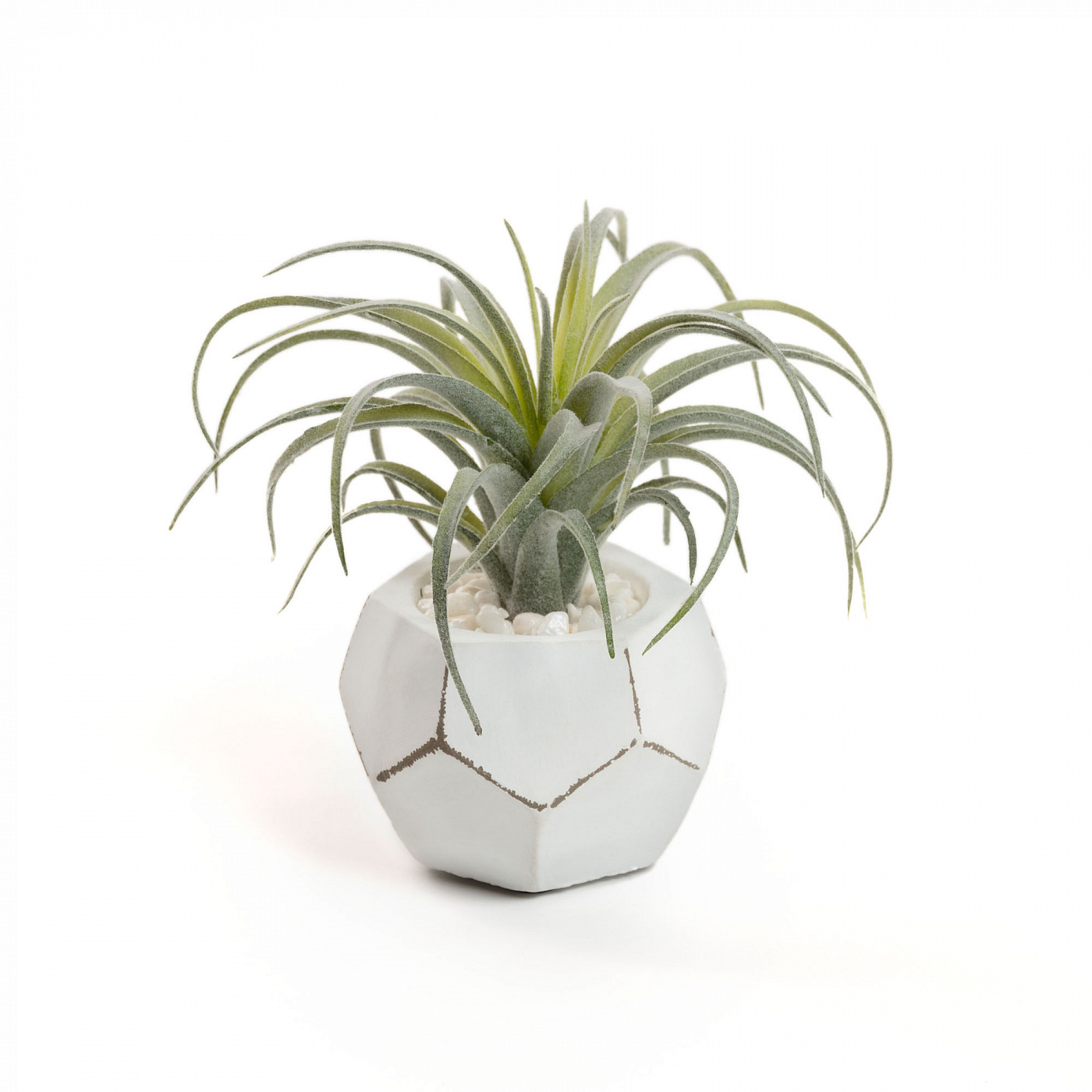 072451 Flower Искусственное растение тилландсия La Forma Tillandsia  - Вид №1