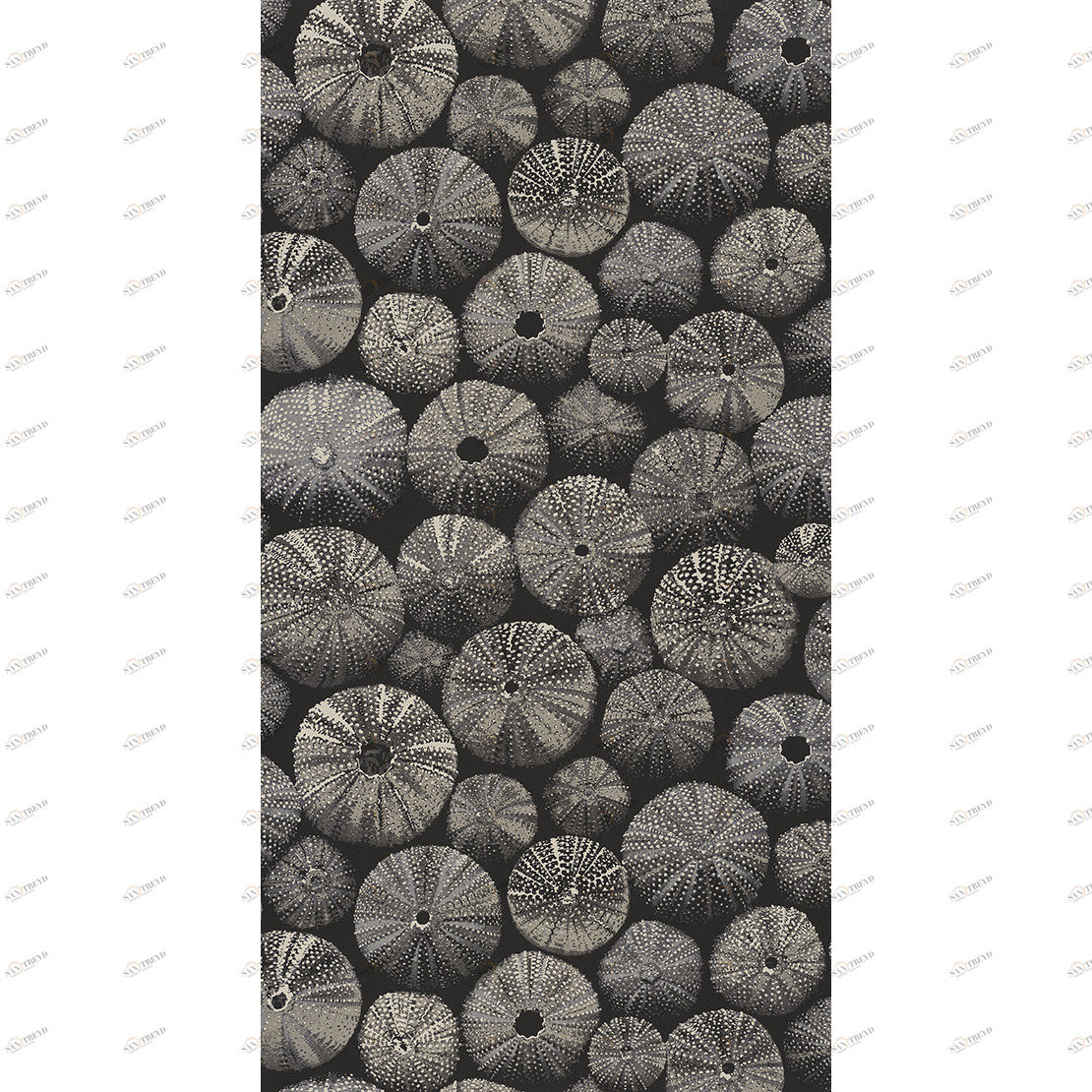 Рулон обоев ENCYCLOPEDIA2 ENCC84539427. Основа нетканый материал Casadeco