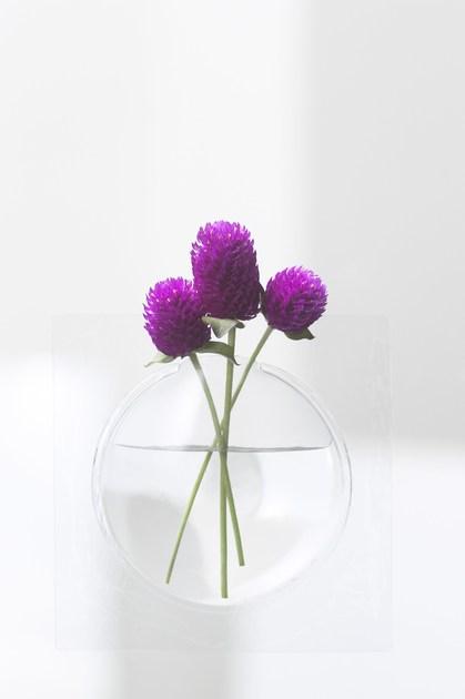 Plus D Настенная ваза из пвх sun-id-1434175 - Вид №11