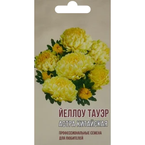 Астра китайская Йеллоу тауэр 83601689 STLM-2112810