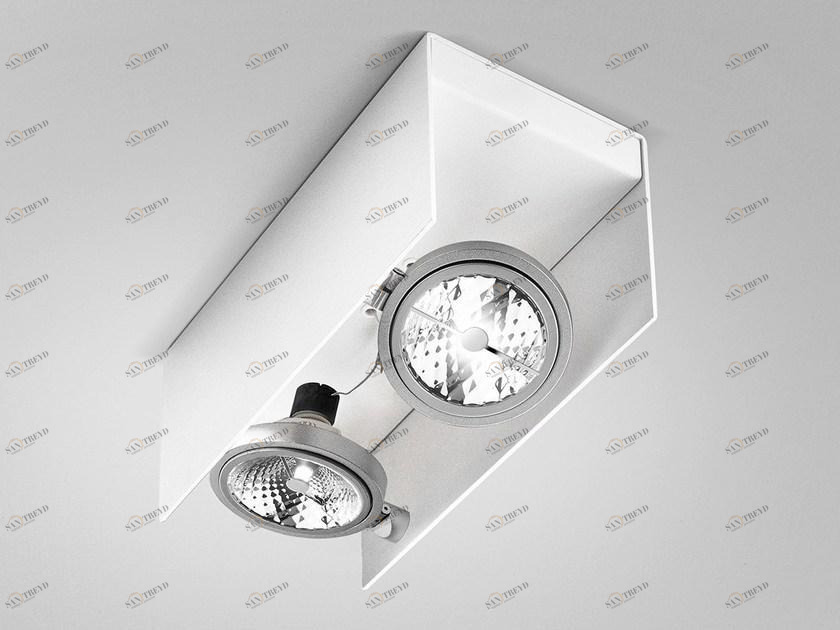 PANZERI Регулируемый потолочный металлический точечный светильник Elle P5001-2u