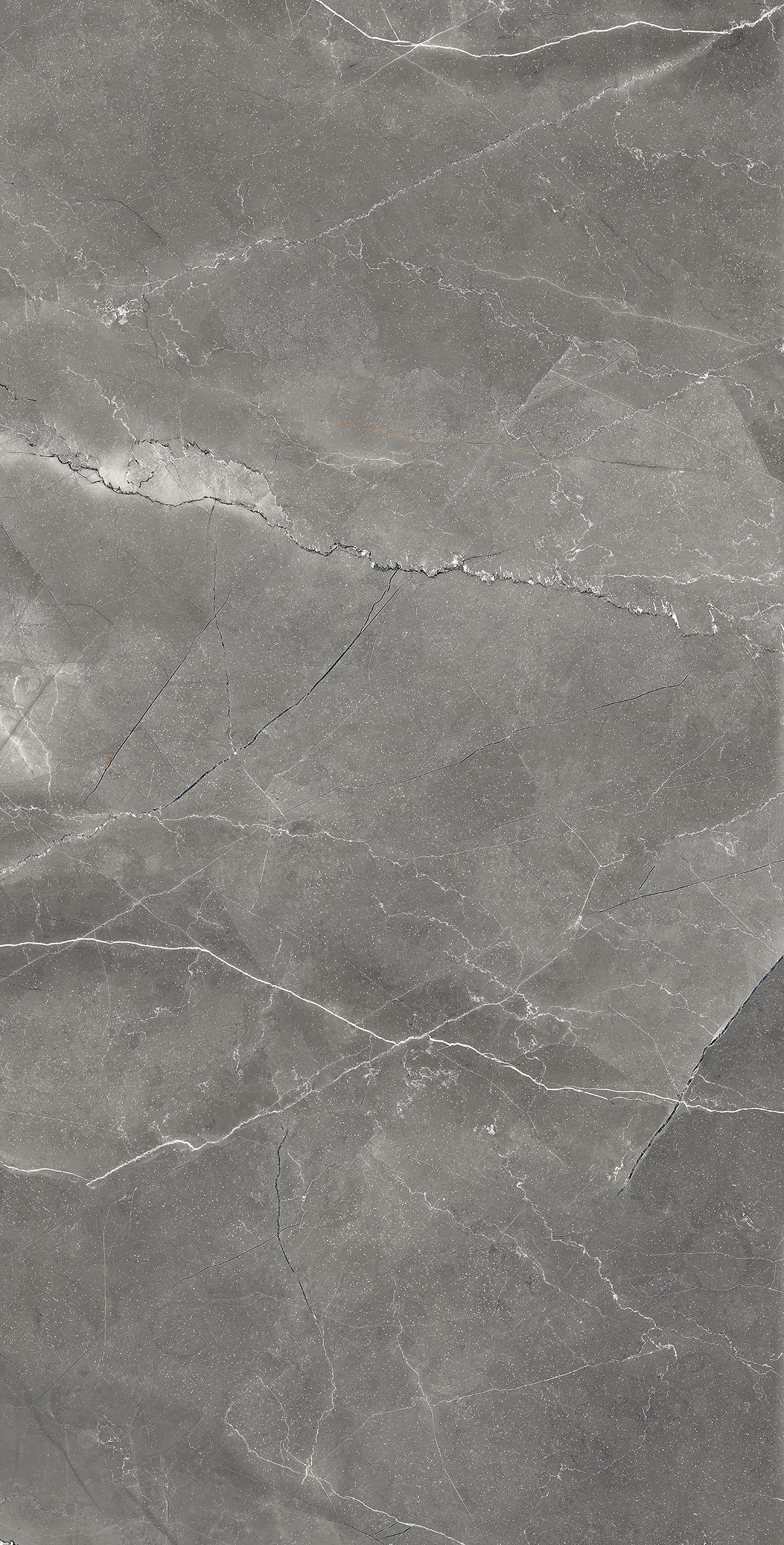 PULPIS NERO LAPPATO — Элегантность в каждом сантиметре CL4002-A Arcadia Ceramica - Вид №2