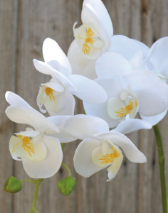 2650 777 a3 Искусственная орхидея Phalaenopsis, 80 см, real touch soft, белая H-andreas