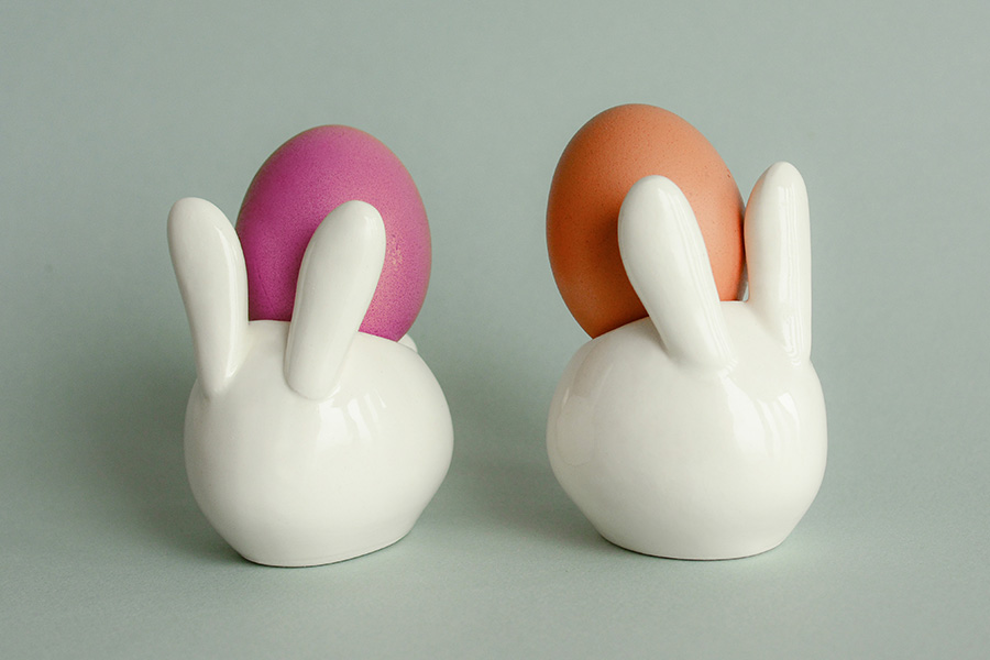 ECZ-1-01 Набор для выращивания eco "зайчик" Экочеловеки  - Вид №5