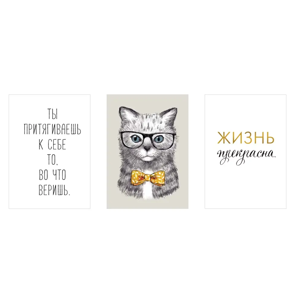 Постер Арт дизайн Коту Очевидно 39x49 см 3 шт STLM-2156263
