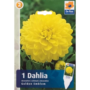 Георгина декоративная «Голден Эмблем» 82539306 STLM-2033276