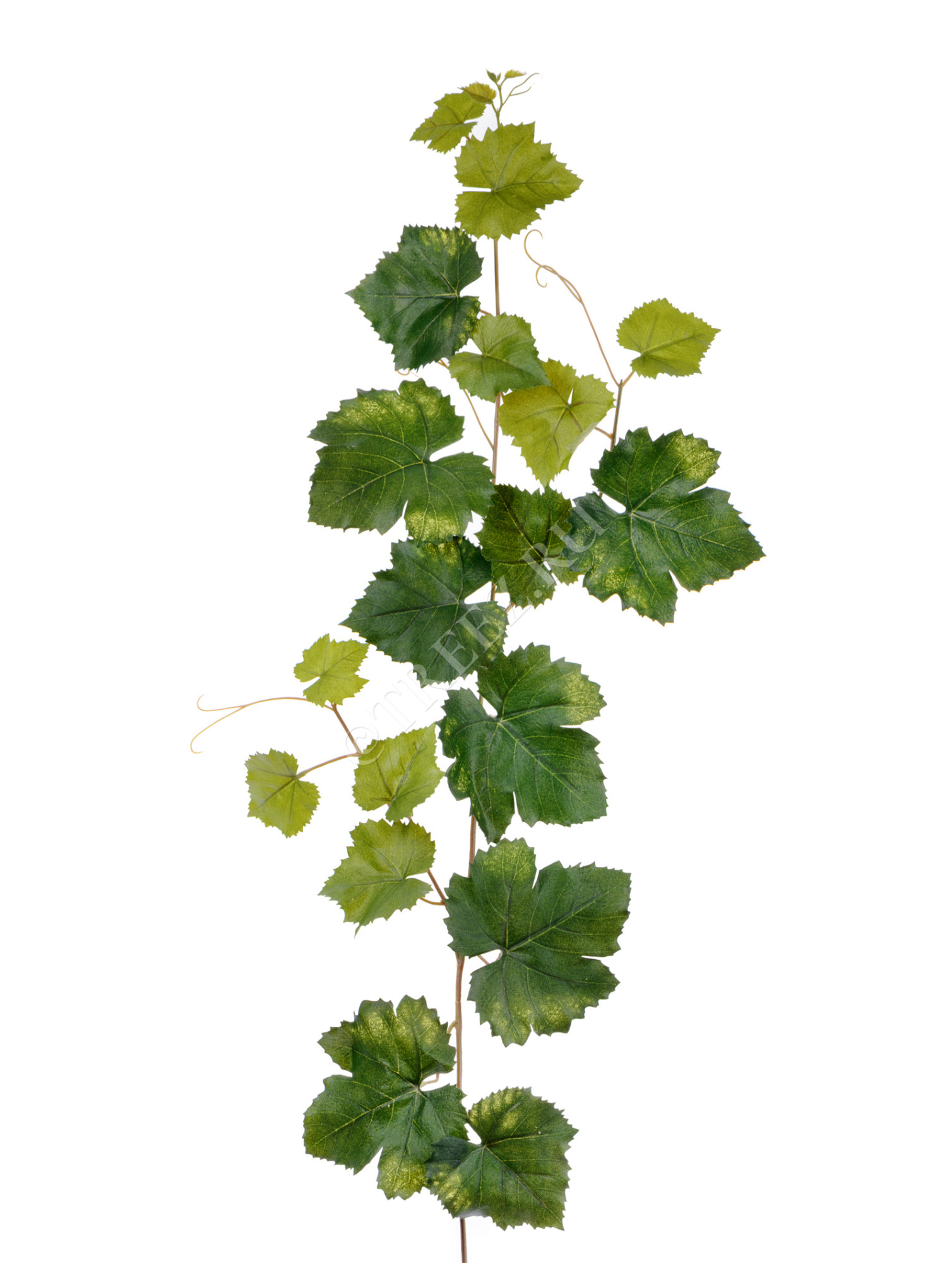 20.6225N Виноградная гирлянда зелёная Цветочная коллекция 