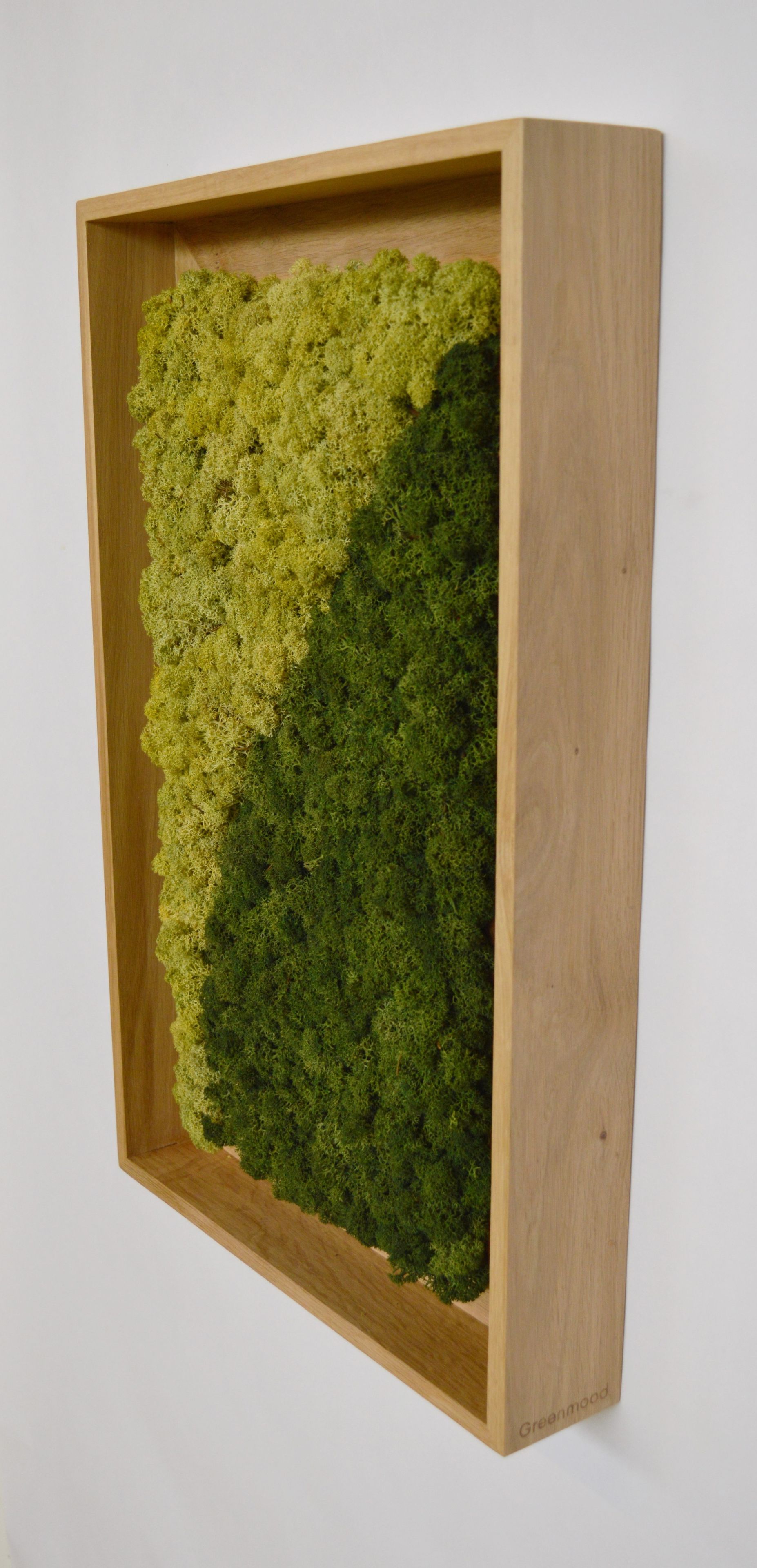 Акустическая панель из мха GREENMOOD FRAMED HARMONY ARCH-00128753 - Вид №25