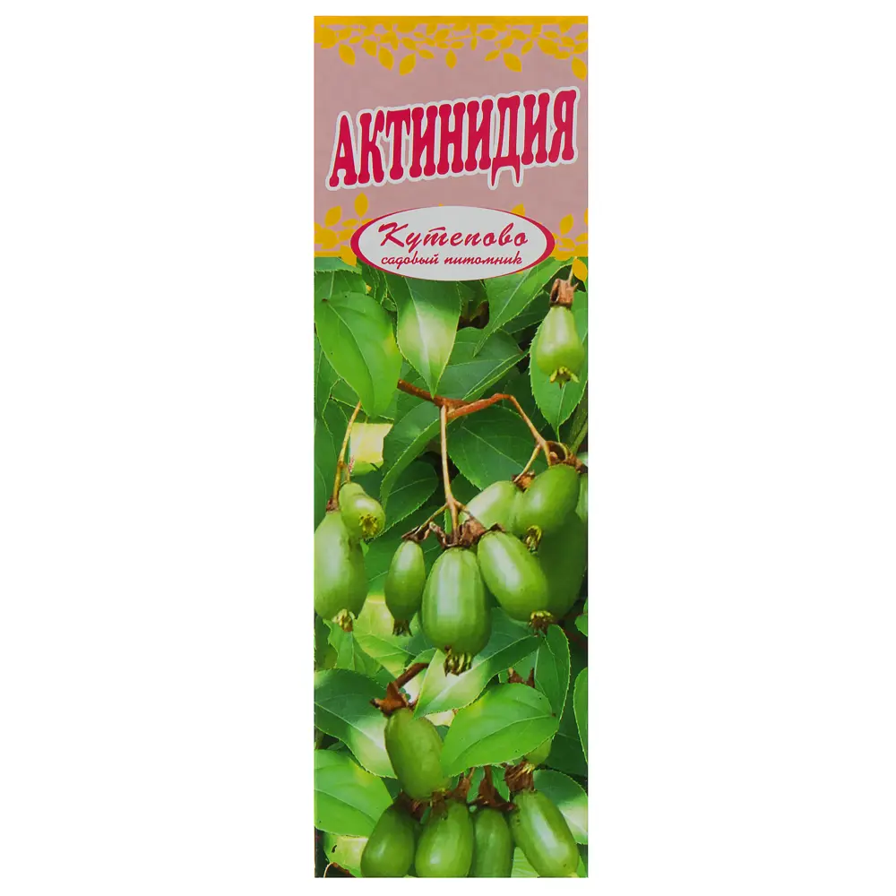 Актинидия микс в тубе Кутепово 18321267 STLM-2062361 Santreyd 