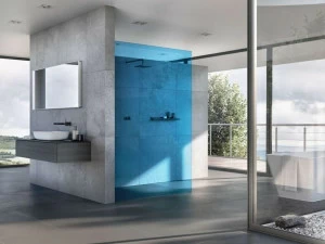 DUSCHOLUX Душевая кабина из цветного стекла на заказ
