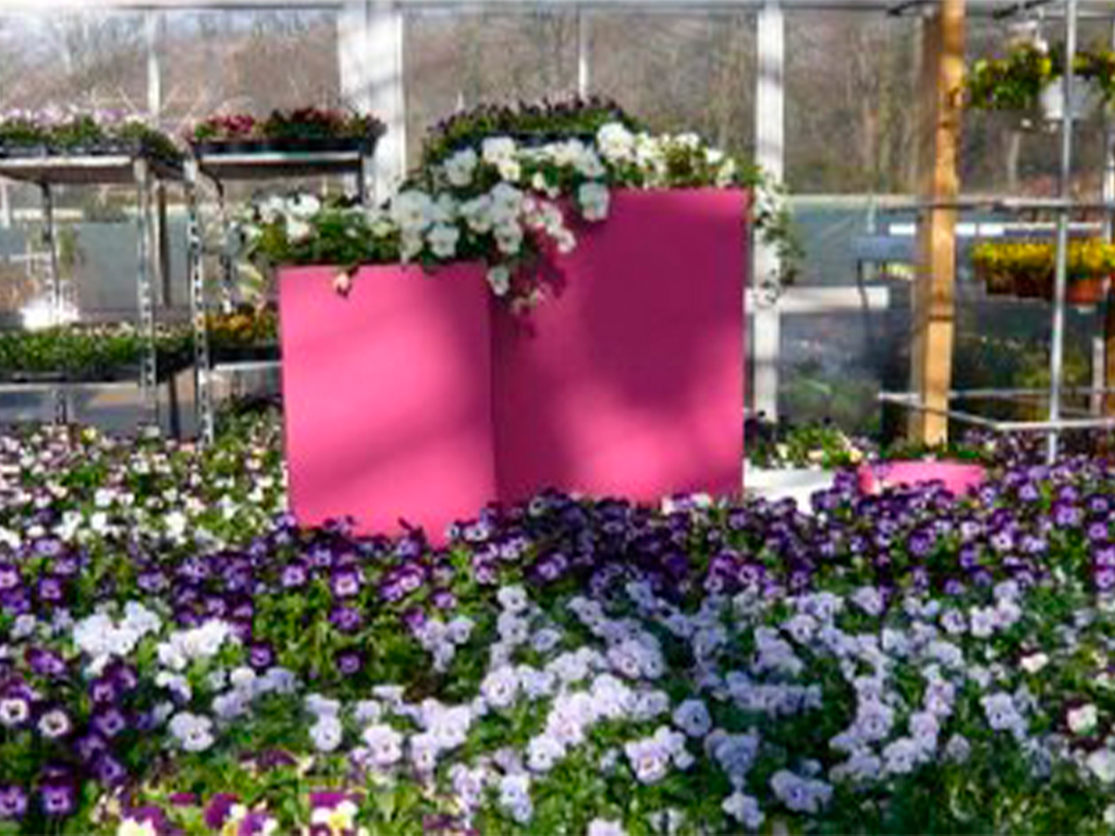 Кашпо коллекции "Бетула" ВD-02-52 90/25/80 ГеоПластБорд GPBST-81 - Вид №5