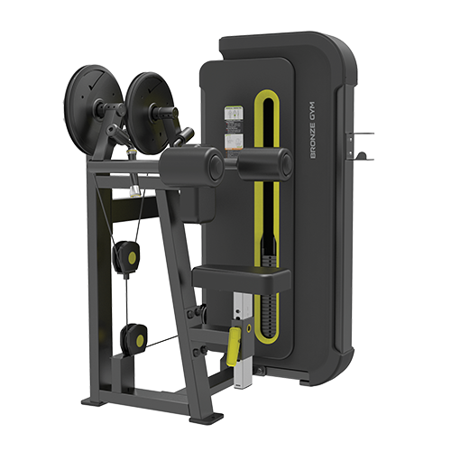 BW-3005 Bronze gym -3005 дельта-машина Bronze Gym BW 