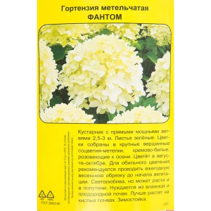 Гортензия метельчатая Фантом h40 см 83786892 STLM-2114242