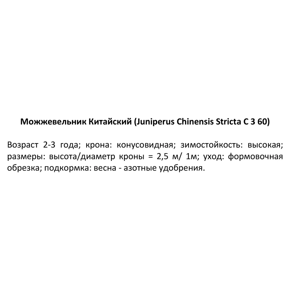 Можжевельник китайский Стрикта ø15 h65 см 84834041 STLM-2142718 PLANTMARKET  - Вид №2