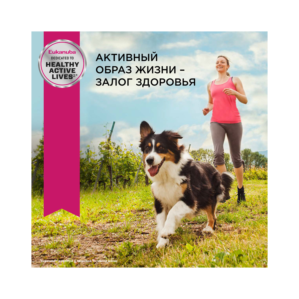 ПР0023009 Корм для собак для мелких и средних пород ягненок, рис сух. 12кг Eukanuba  - Вид №1