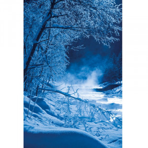 F132A/1291X120 Картина Мома Рамка 1291 Adriani e Rossi