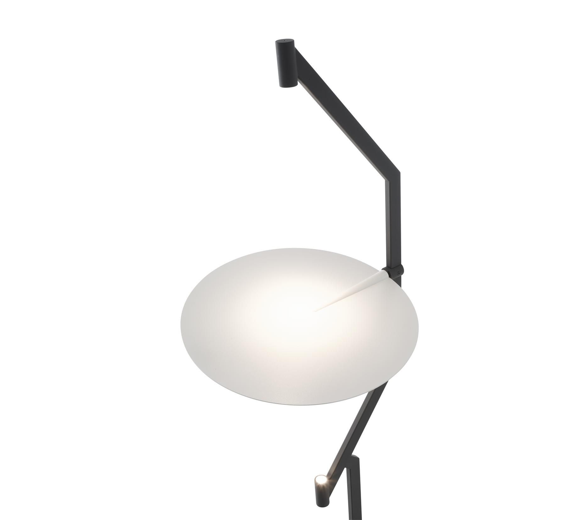 Стальная светодиодная напольная лампа Ligne Roset SKIA ARCH-00093939 - Вид №2