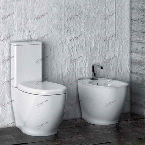 WG003S0001 Компакт унитаз с бачком Белый Disegno Ceramica Weg Италия