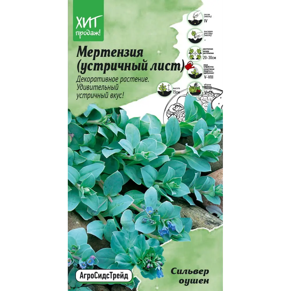 Семена цветов Агросидстрейд мертензия Сильвер Оушен 5 шт STLM-2000200
