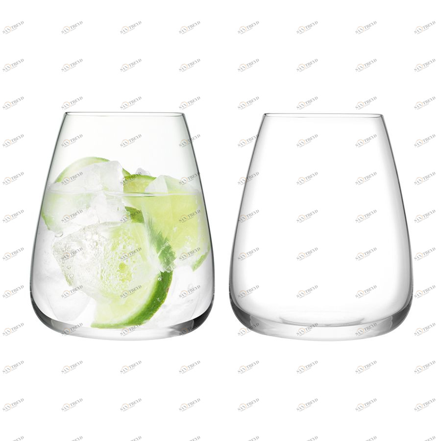 Набор из 2 бокалов для воды Wine Culture 590 мл LSA International G142621191