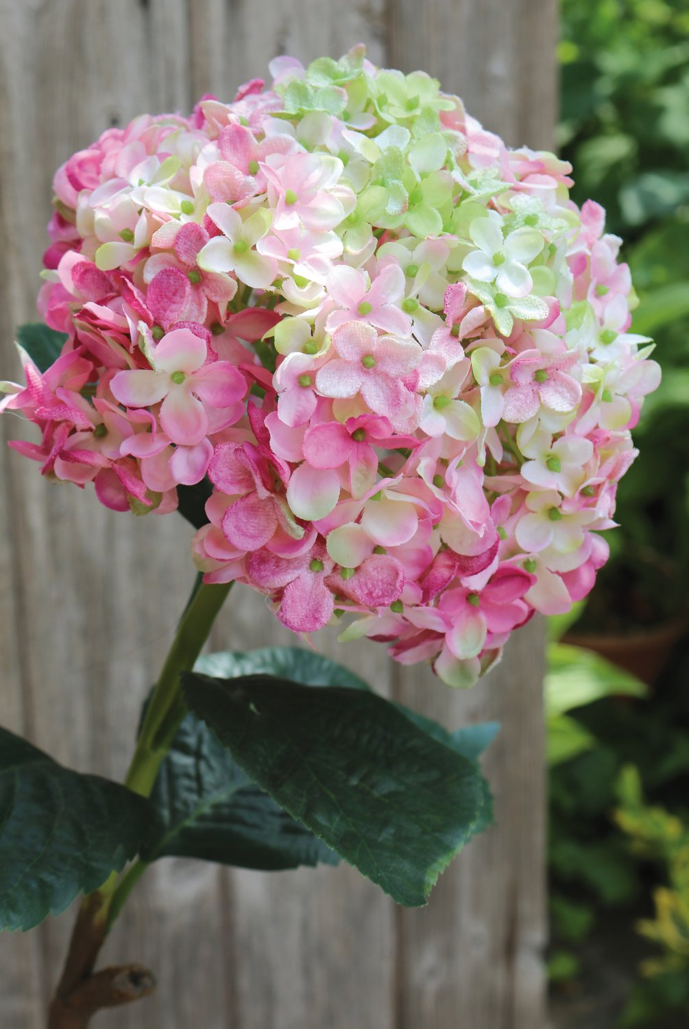 2271 508 a3 Искусственная гортензия, 60 см, розово-зеленая H-andreas 