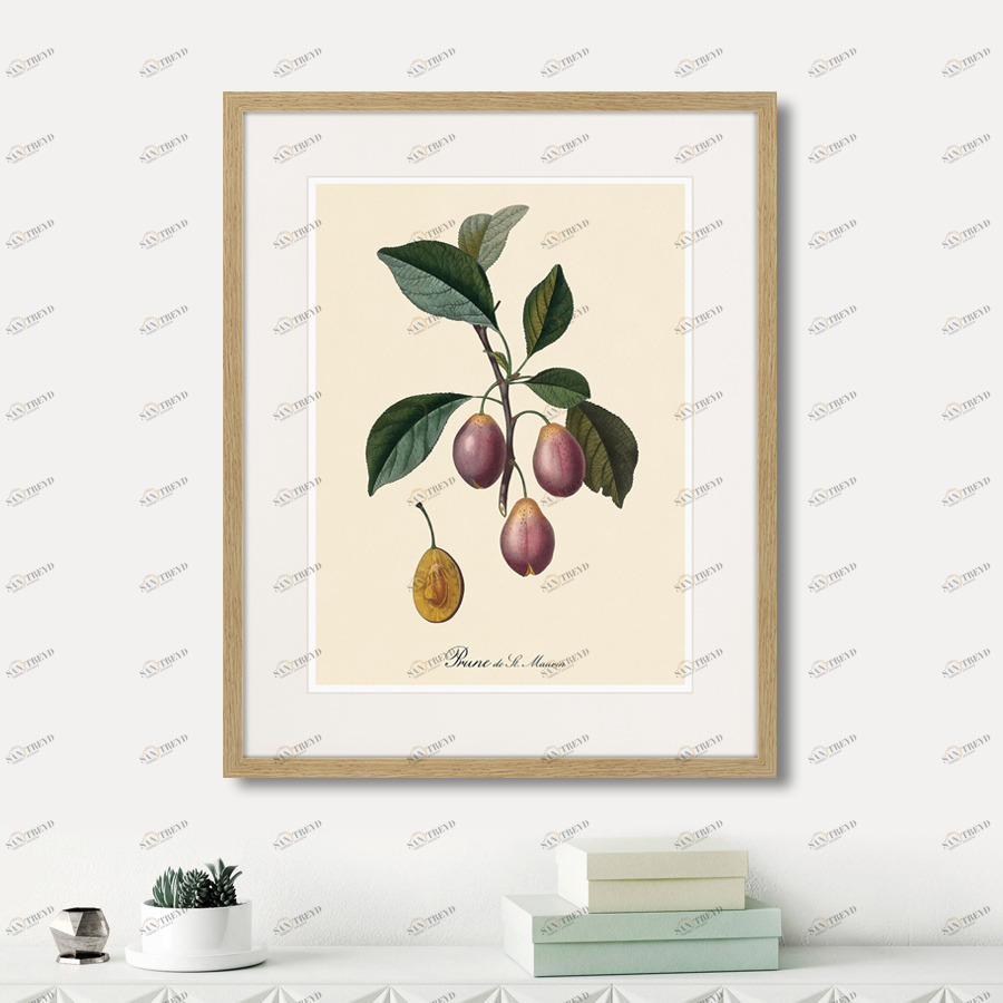 Картина в раме 52х42 см Juicy fruit lithography №9, 1870г. КАРТИНЫ В КВАРТИРУ  264442 Зеленый;фиолетовый;разноцветный 