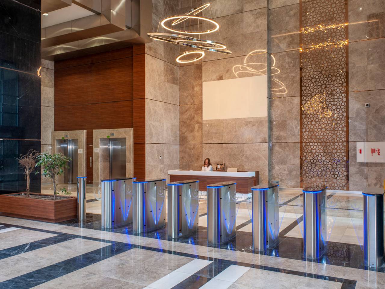 Моторизованный дверной проем со скрытыми дверями CAME HG02GL-DP ARCH-00008670 - Вид №1