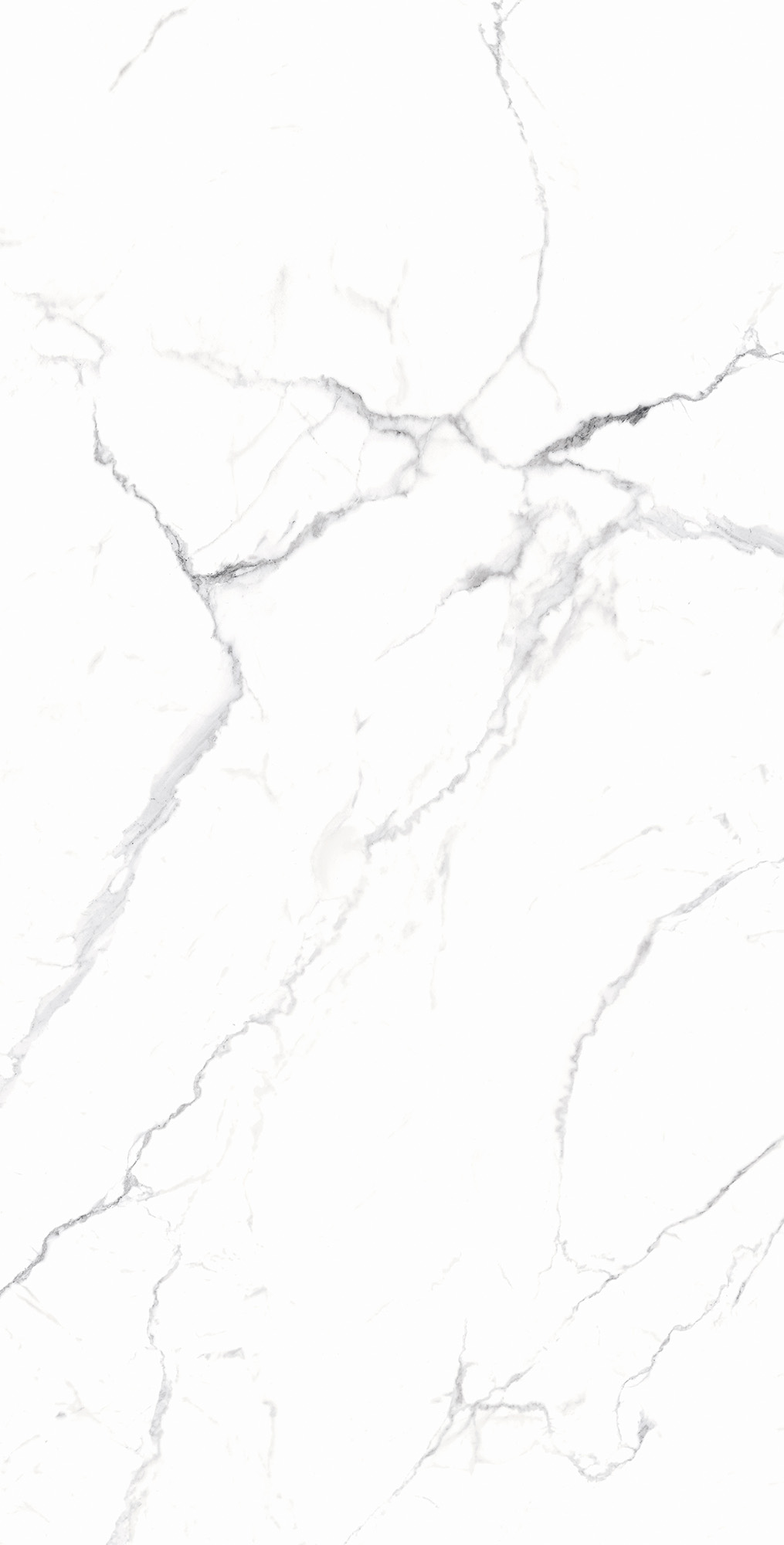 Белоснежный мраморный керамогранит CARARRA WHITE RT7018-A Arcadia Ceramica - Вид №4
