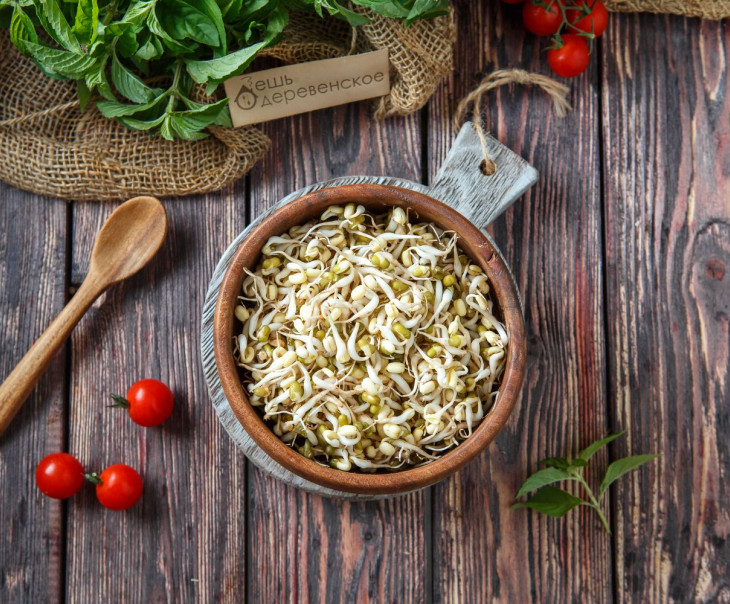 4995 Проростки Маша Вкусляндия 