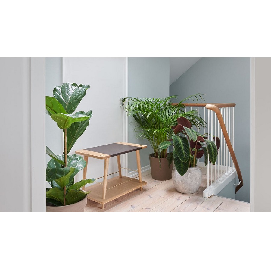 Скамья Convenience UMAGE 5572 - Вид №1