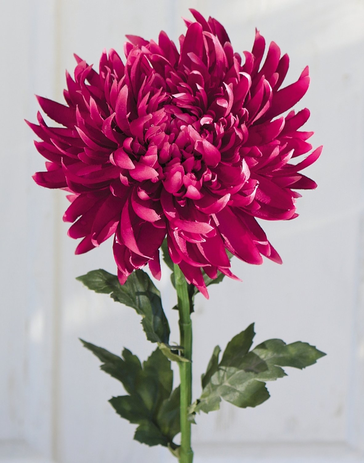 3411 299 a3 Пластиковая хризантема, 62 см, антично-темно-фиолетовый H-andreas  - Вид №1