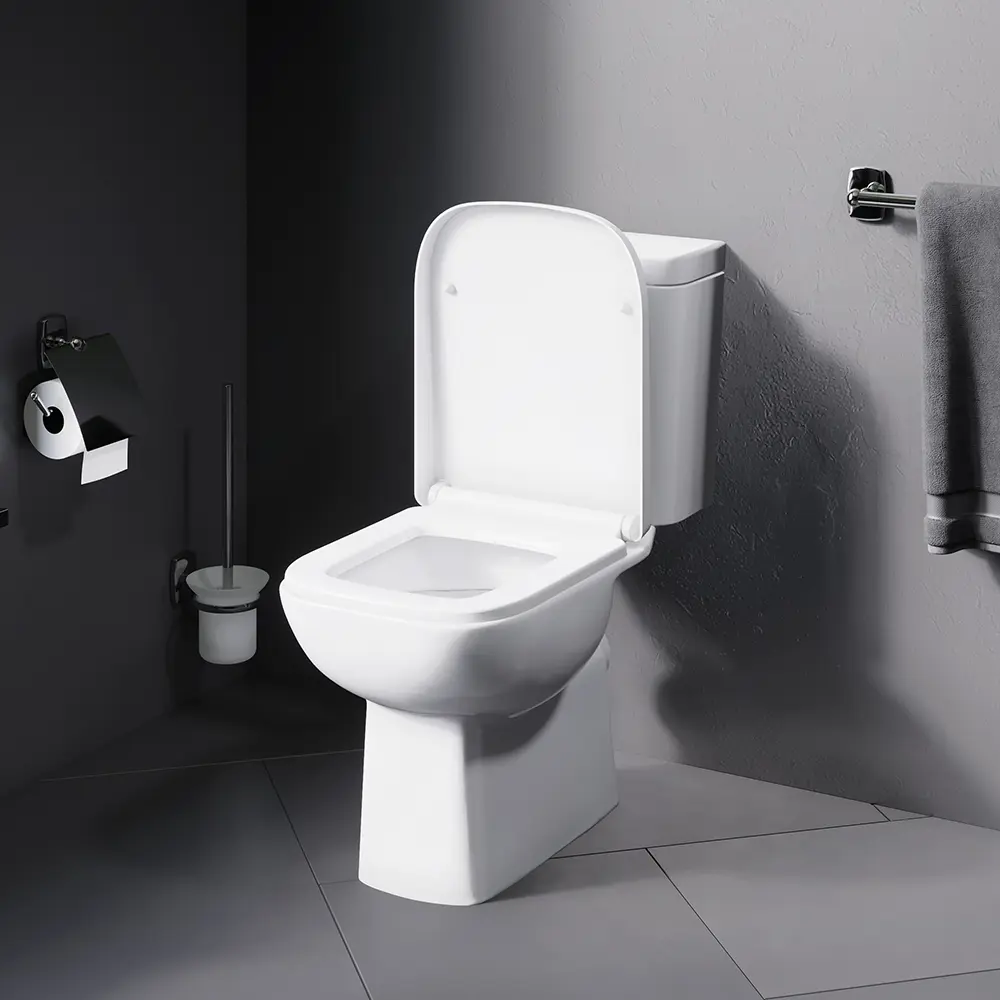 Унитаз-компакт Damixa Elder универсальный выпуск двойной слив STLM-2071992 - Вид №4