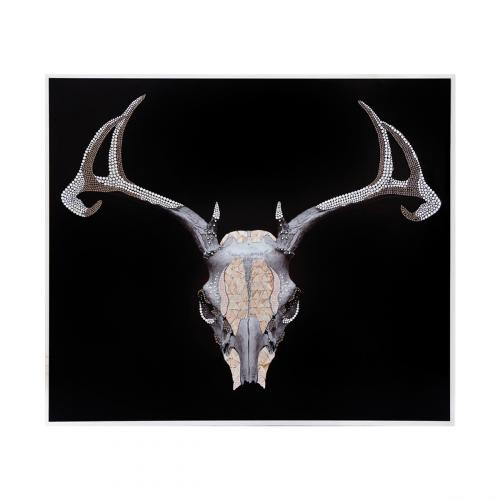 Trofeo Cervo Смешанная техника Visionnaire 