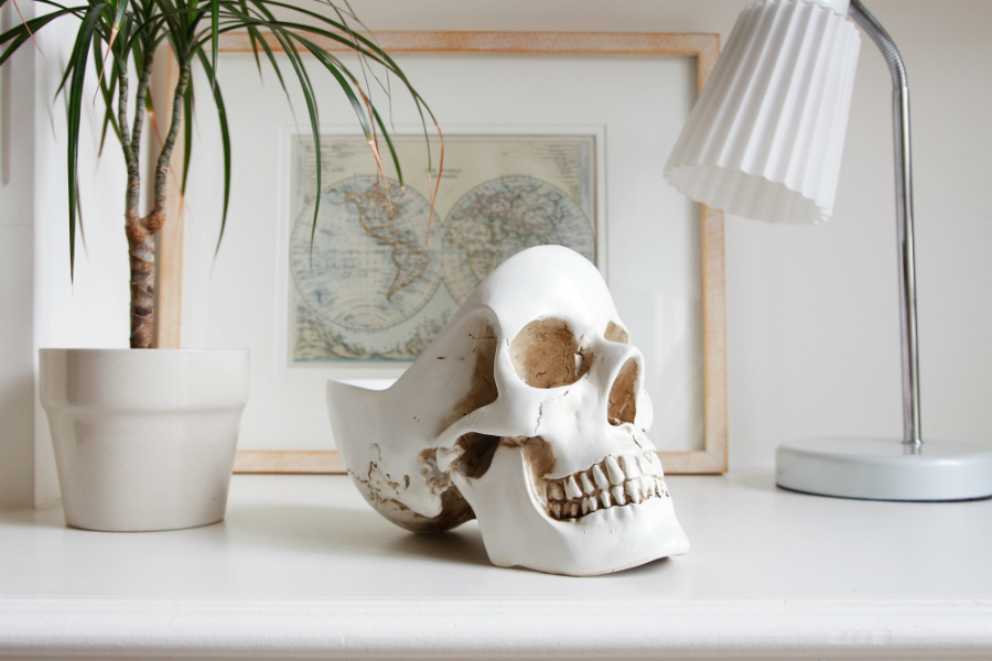 SK TIDYSKULL1 Органайзер для мелочей skull, белый Suck UK  - Вид №11