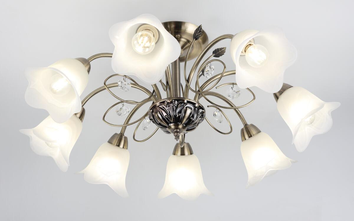 Потолочная люстра Rivoli Giardino 2031-308 RIVOLI GIARDINO 336913 Белый;бронза - Вид №3