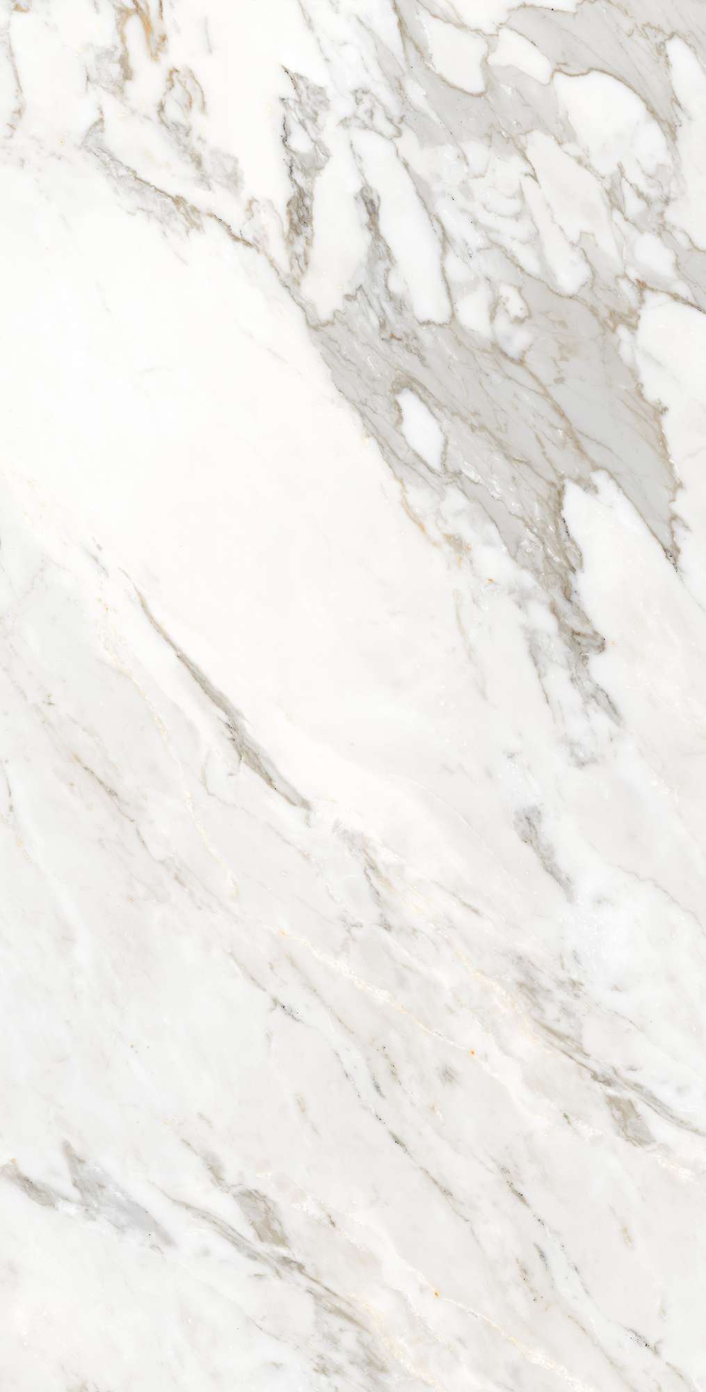 CALACATTA ORO — Элегантность мрамора в вашем интерьере FP1006-A Arcadia Ceramica - Вид №4