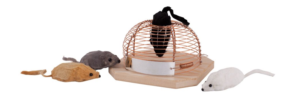 457050 Кисть мир мышеловки Buerstenwelt 