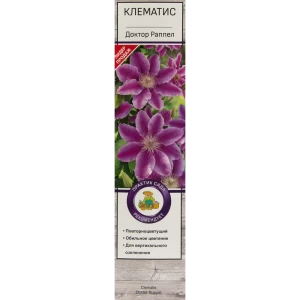 Клематис Доктор Раппел в тубе Поиск Инвест 81951252 STLM-2116578