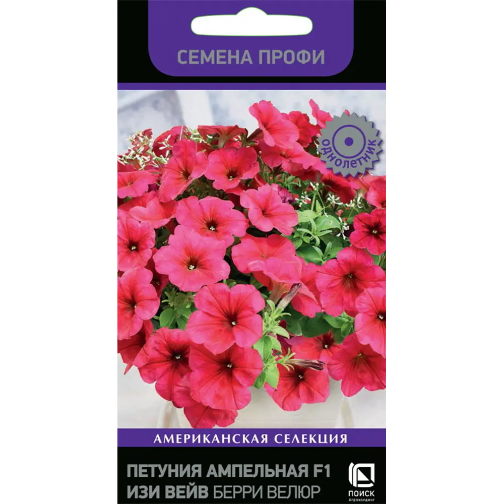 Петуния ампельная ПОИСК Изи Вейв Берри Велюр - роскошный каскад бордовых цветов 89402696 STLM-1566406