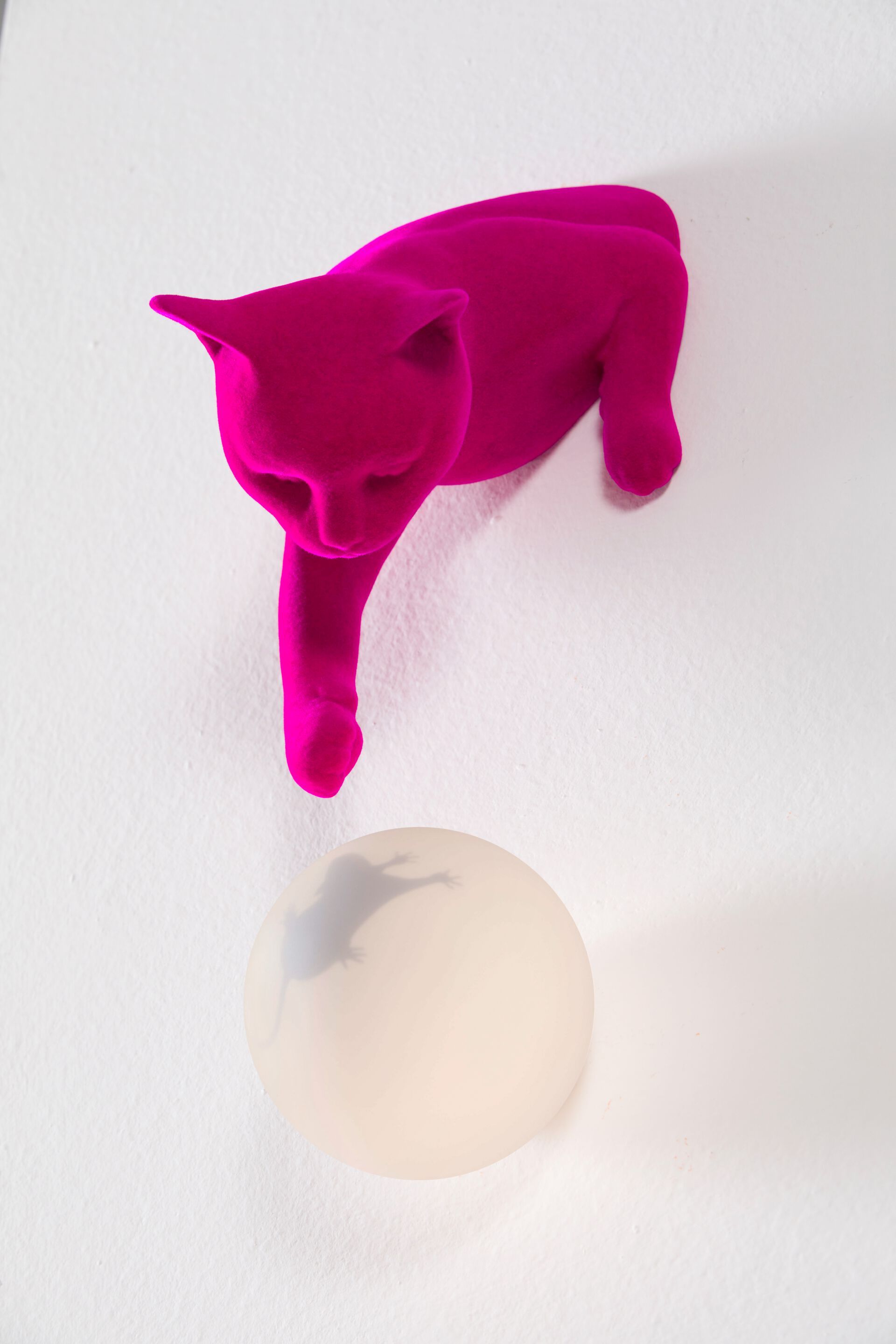 Настенный светильник / настольная лампа с бархатным покрытием Karman Maoo ARCH-00053308 - Вид №29