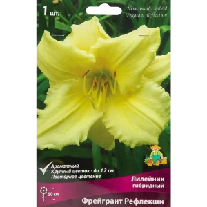 Лилейник гибридный Фрейгрант рефлекшн луковица I 88294960 STLM-2054789
