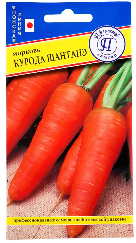 Морковь Курода-Шантенэ от ПРЕСТИЖ СЕМЕНА - ранний гибрид для долгого хранения 17301563
