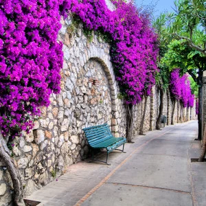 C2-147 Фотообои DIVINO Collection C 2.7х3 м