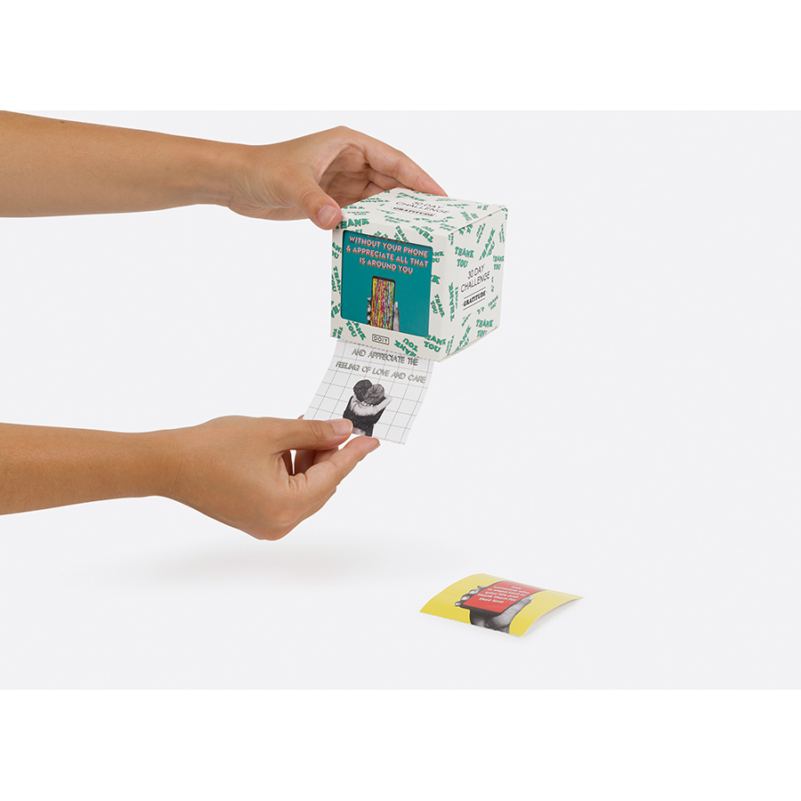 DYCHALGRE Игра , 30 дней благодарности Doiy  - Вид №2